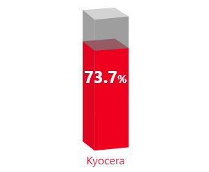 Capital Adequacy Ratios 73.7%