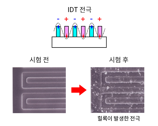 IDT 전극