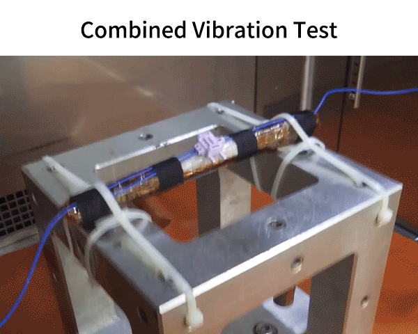 Combined Vibration Test