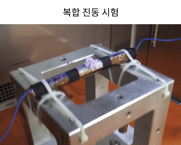 복합 진동 시험