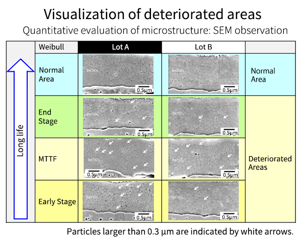 SEM observation results