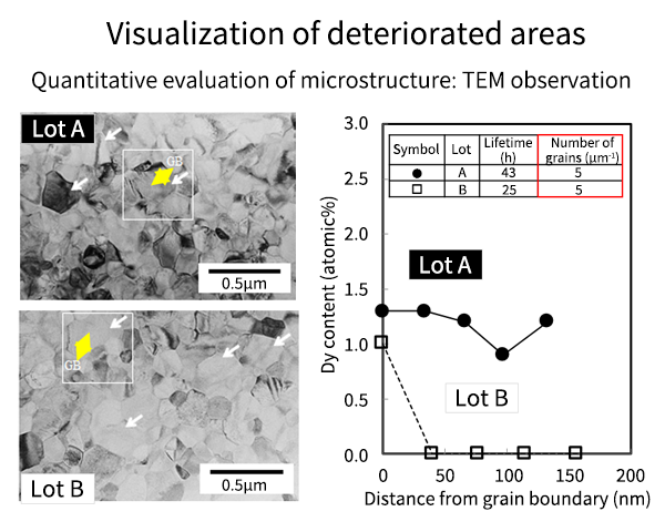 TEM observation results